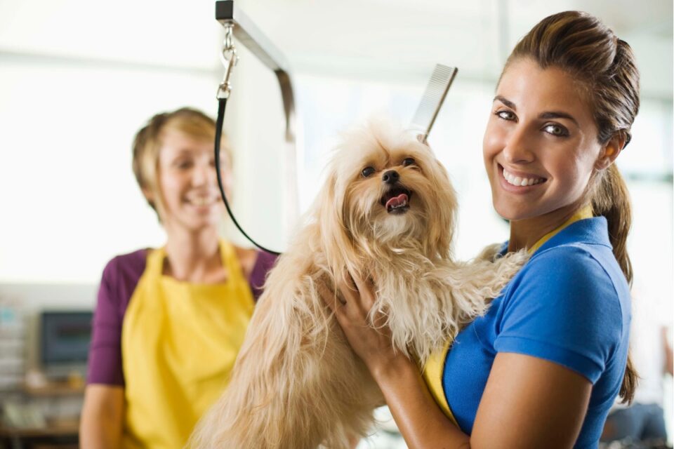 Pet groomer speaking with an older dog owner