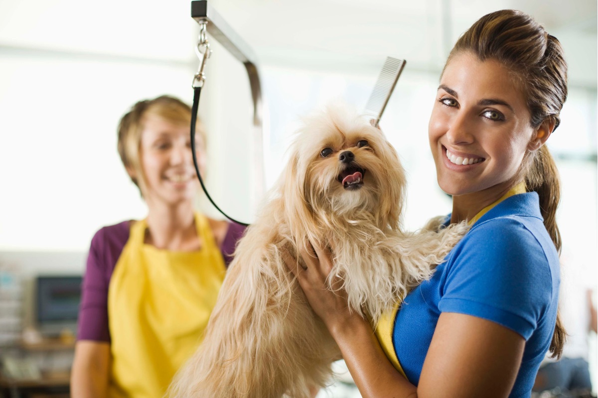 Pet groomer speaking with an older dog owner
