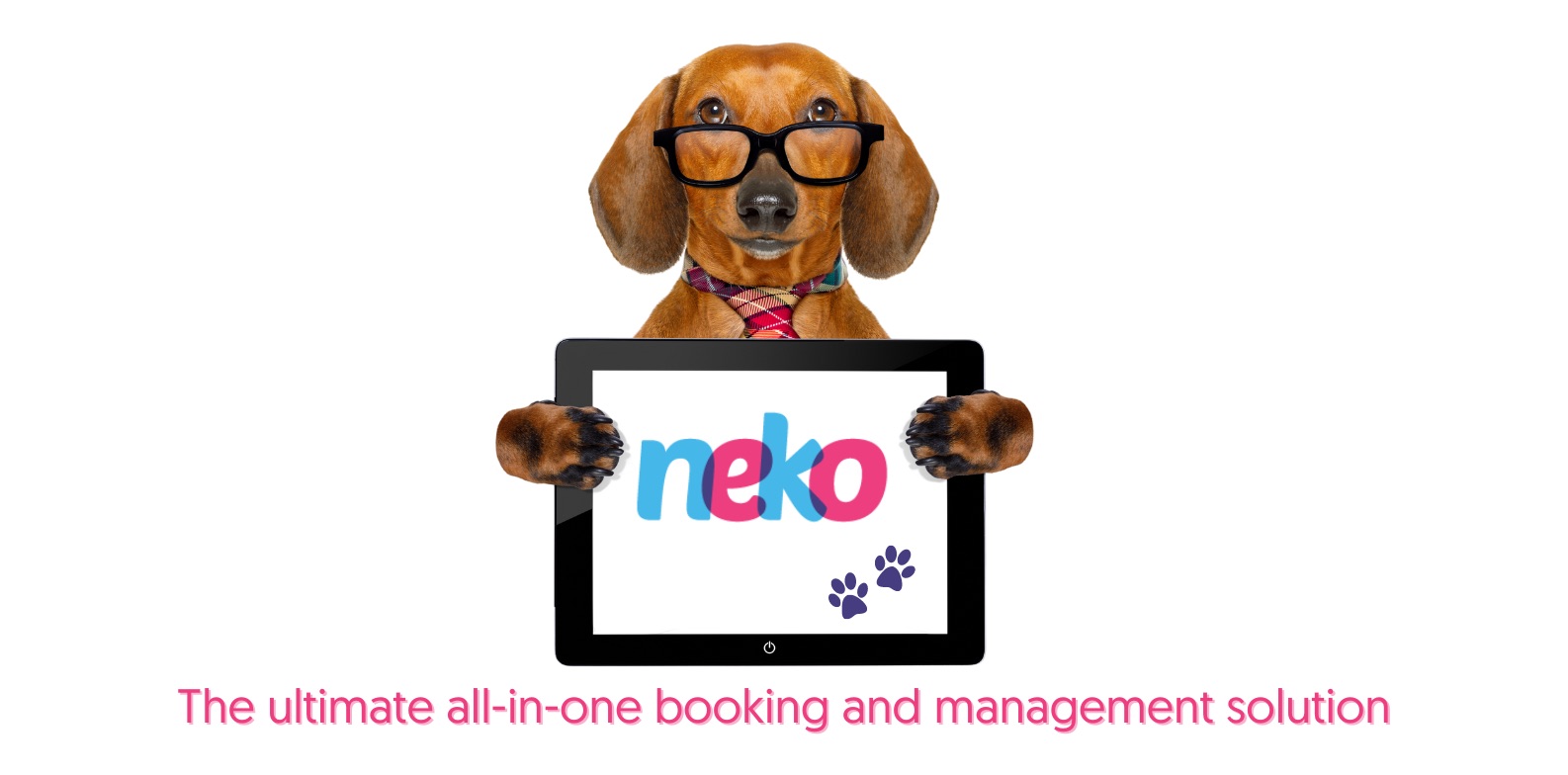Dog mascot holding the Neko logo