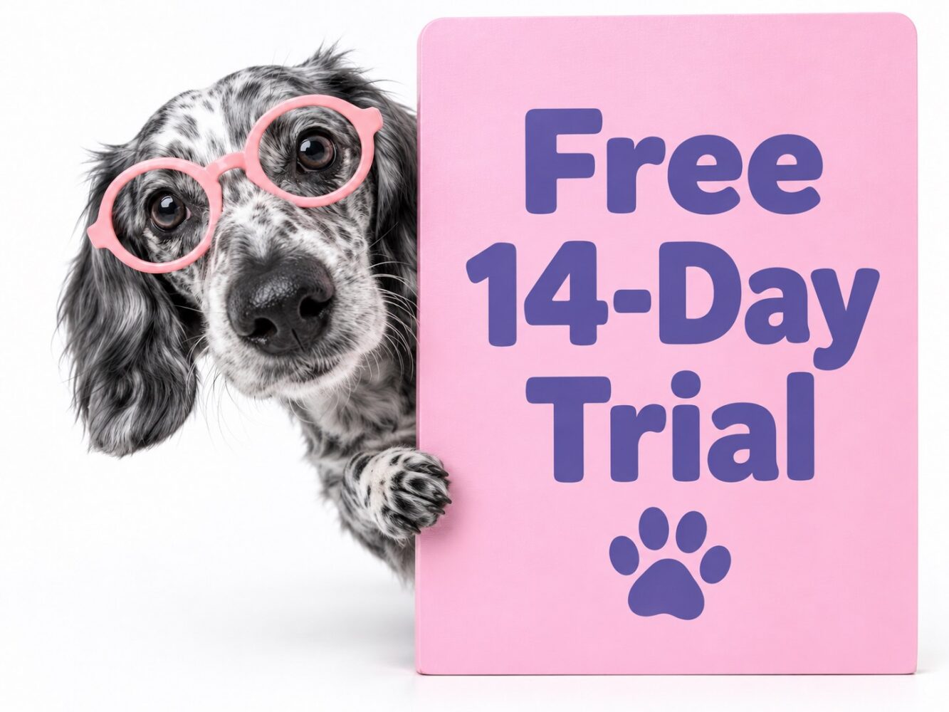 Neko 14-day free trial illustration with three dogs
