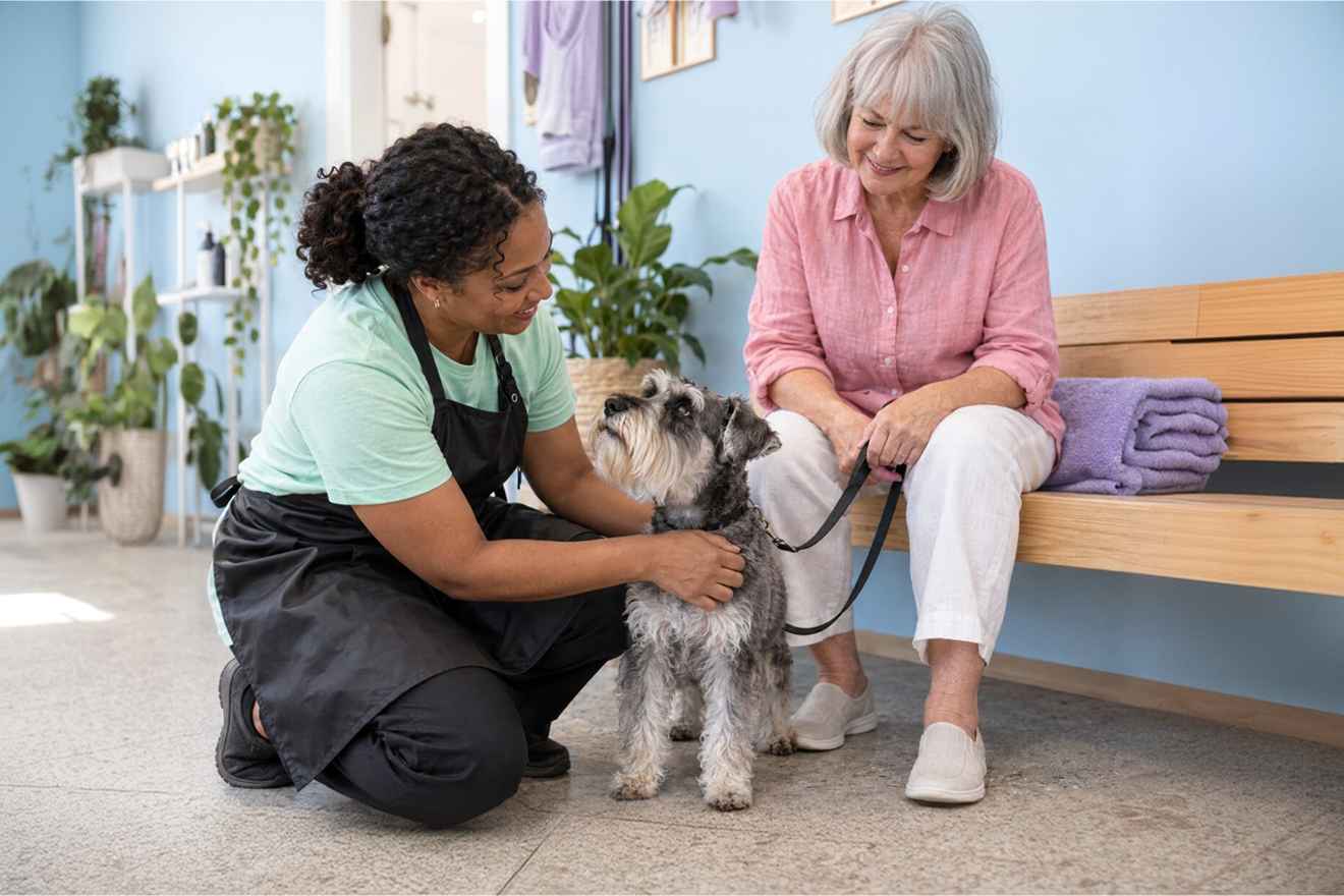 Groomer reviewing a dog's details with its owner