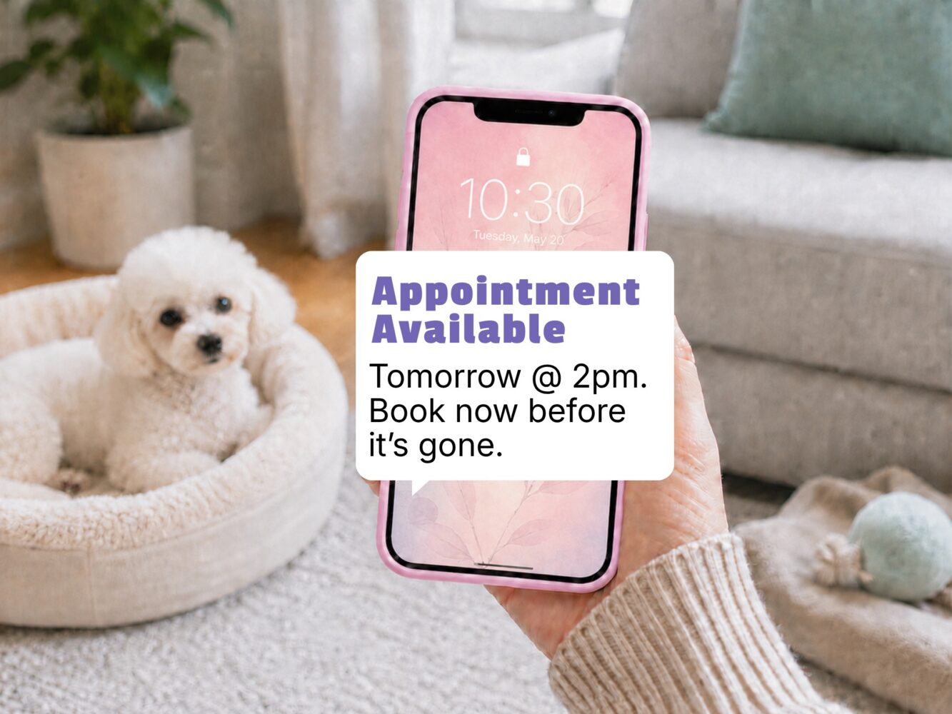 Available appointment text message on a phone