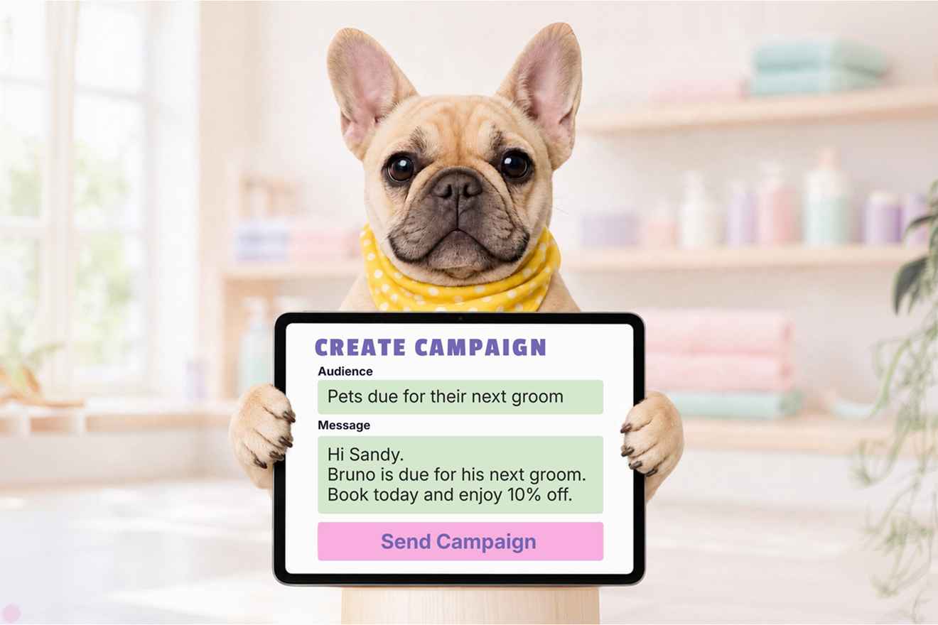 Pet business marketing campaign displayed on a tablet