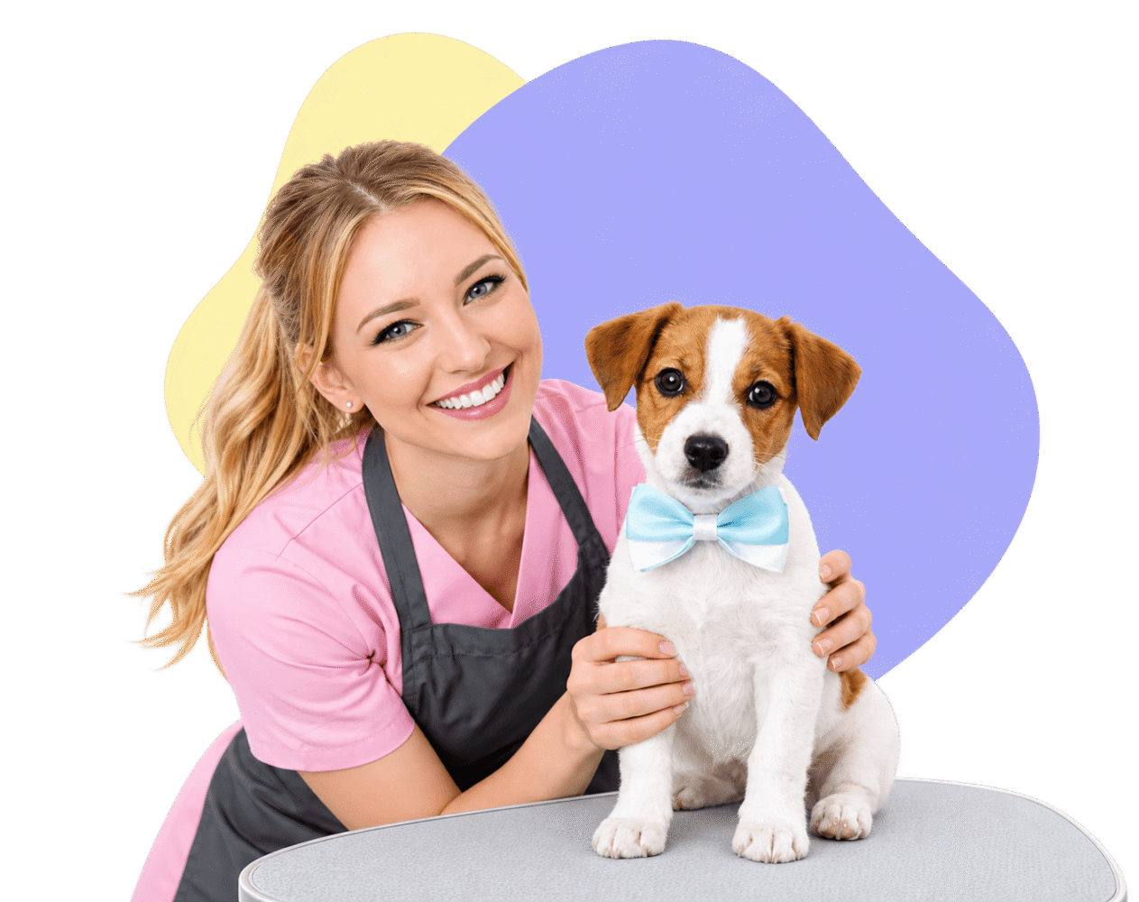 Pet groomer holding a small dog