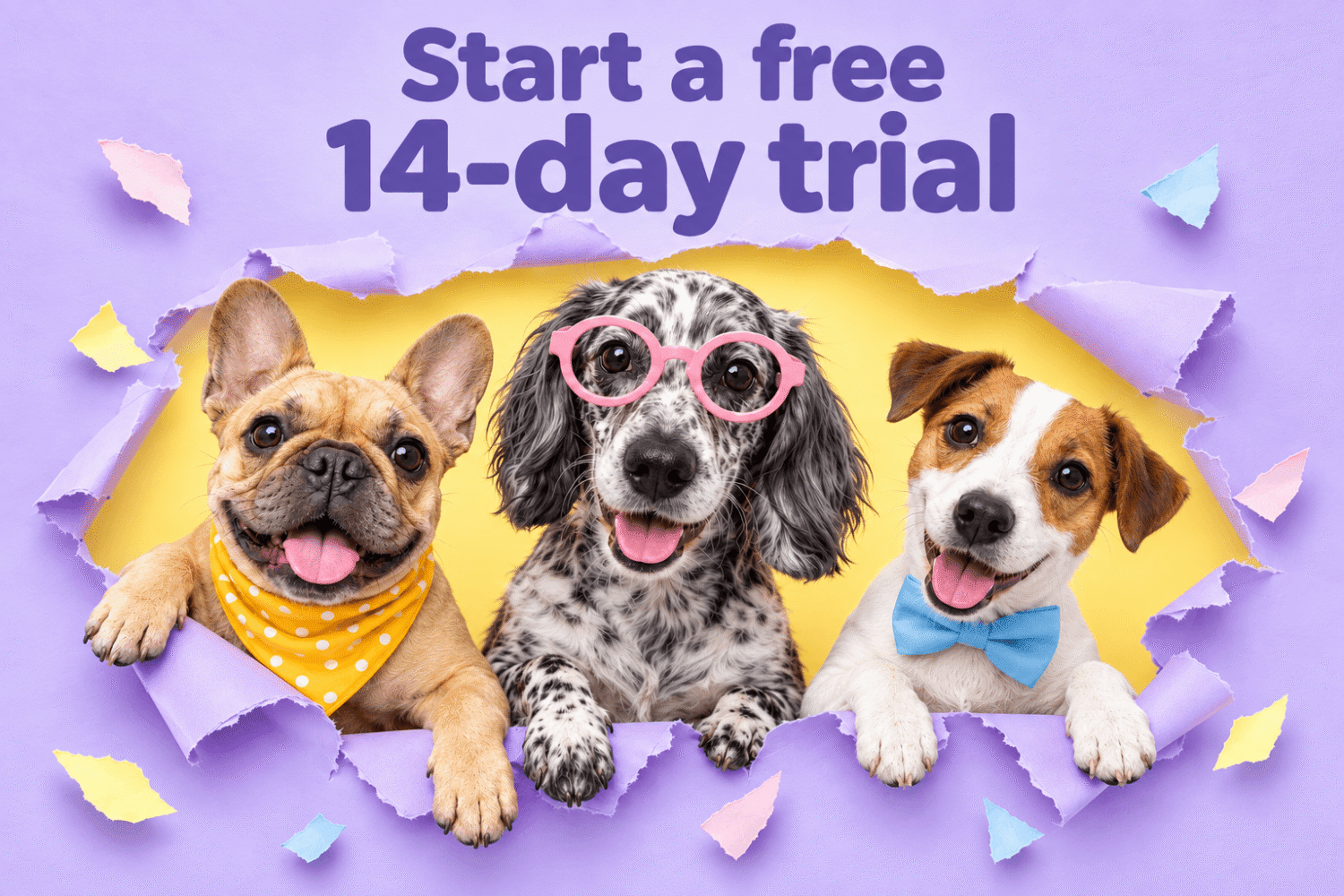 Neko 14-day free trial illustration with three dogs