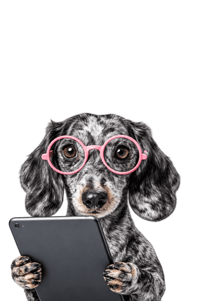 Neko poodle mascot wearing glasses and holding a tablet