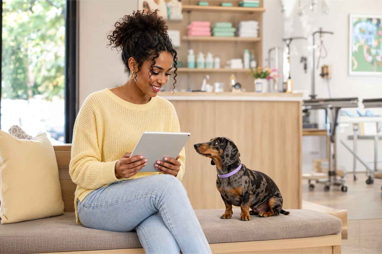 Pet owner using a tablet beside a dachshund