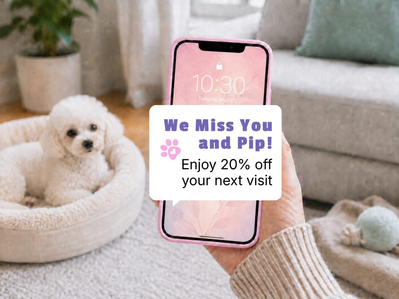 Pet owner receiving a welcome-back text offer
