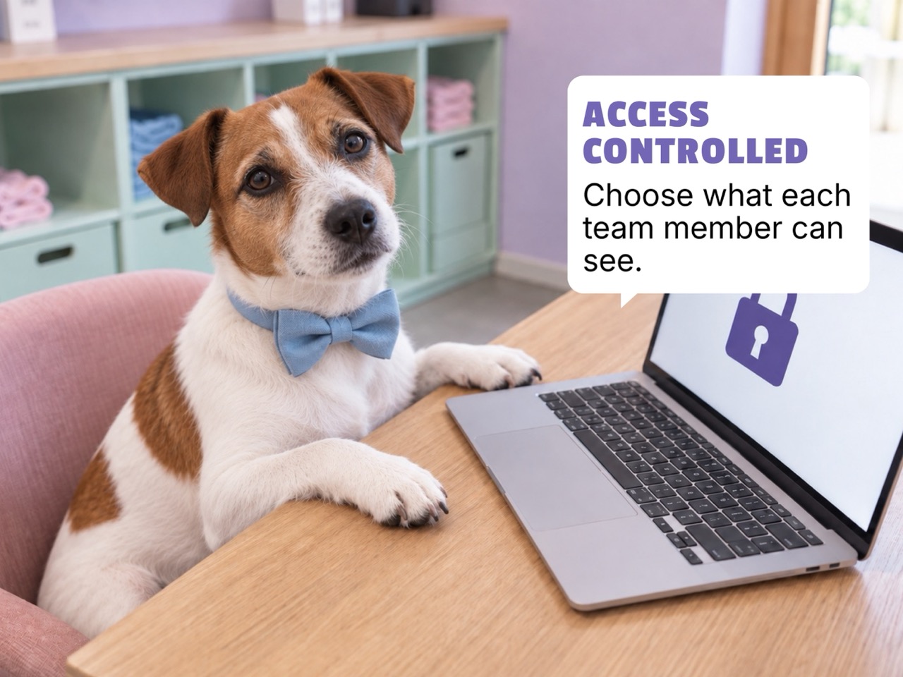 Pet business software access control illustration