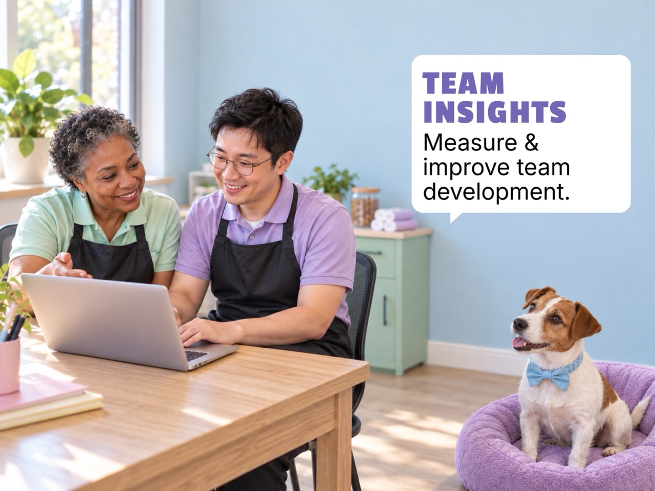 Pet business staff insights on a computer