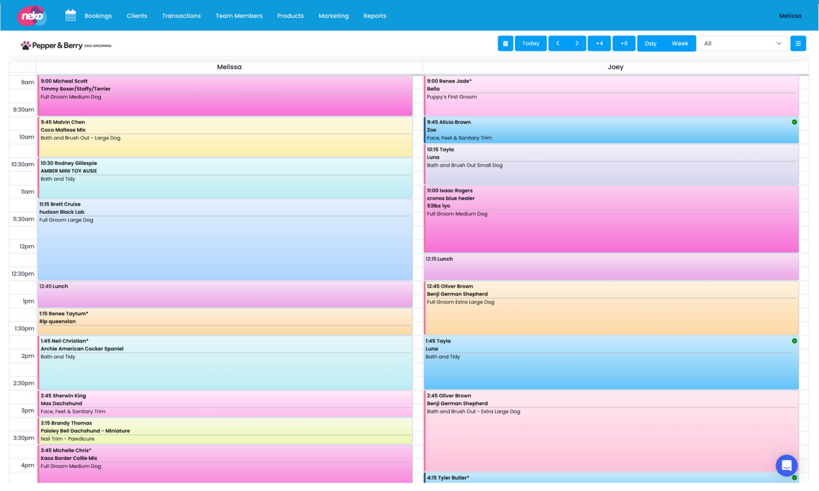 Neko appointment calendar on a desktop screen